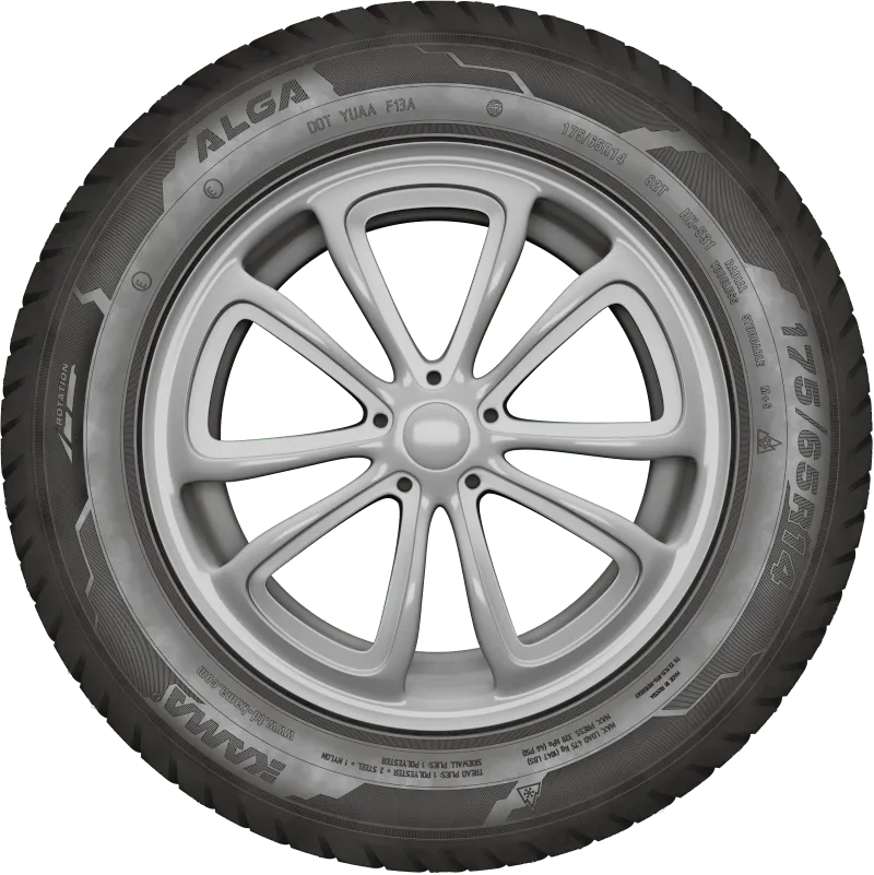 KAMA ALGA (НК-531) нешип в Колпашеве — KAMA TYRES KAMA ALGA (НК-531) нешип в Колпашеве